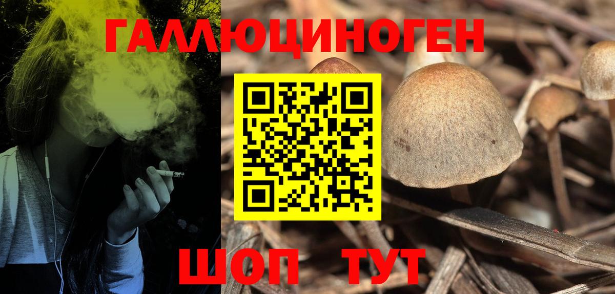 Унеча  Псилоцибиновые грибы прущие грибы  Вход с VPN 