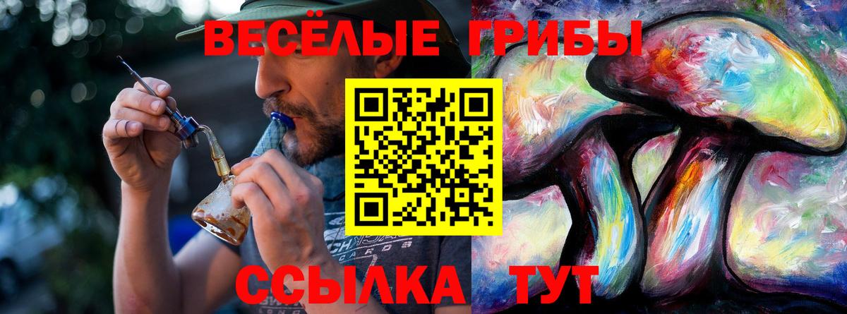 Галлюциногенные грибы прущие грибы Унеча