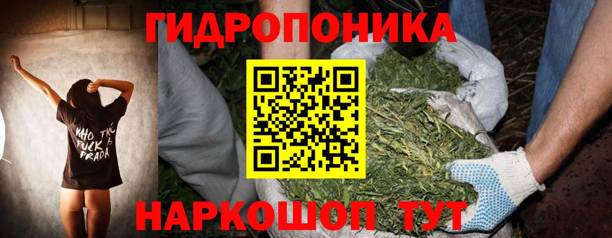 Шишки марихуана White Widow  Конопля MAZAR  Вход с VPN  Унеча  Конопля марихуана 